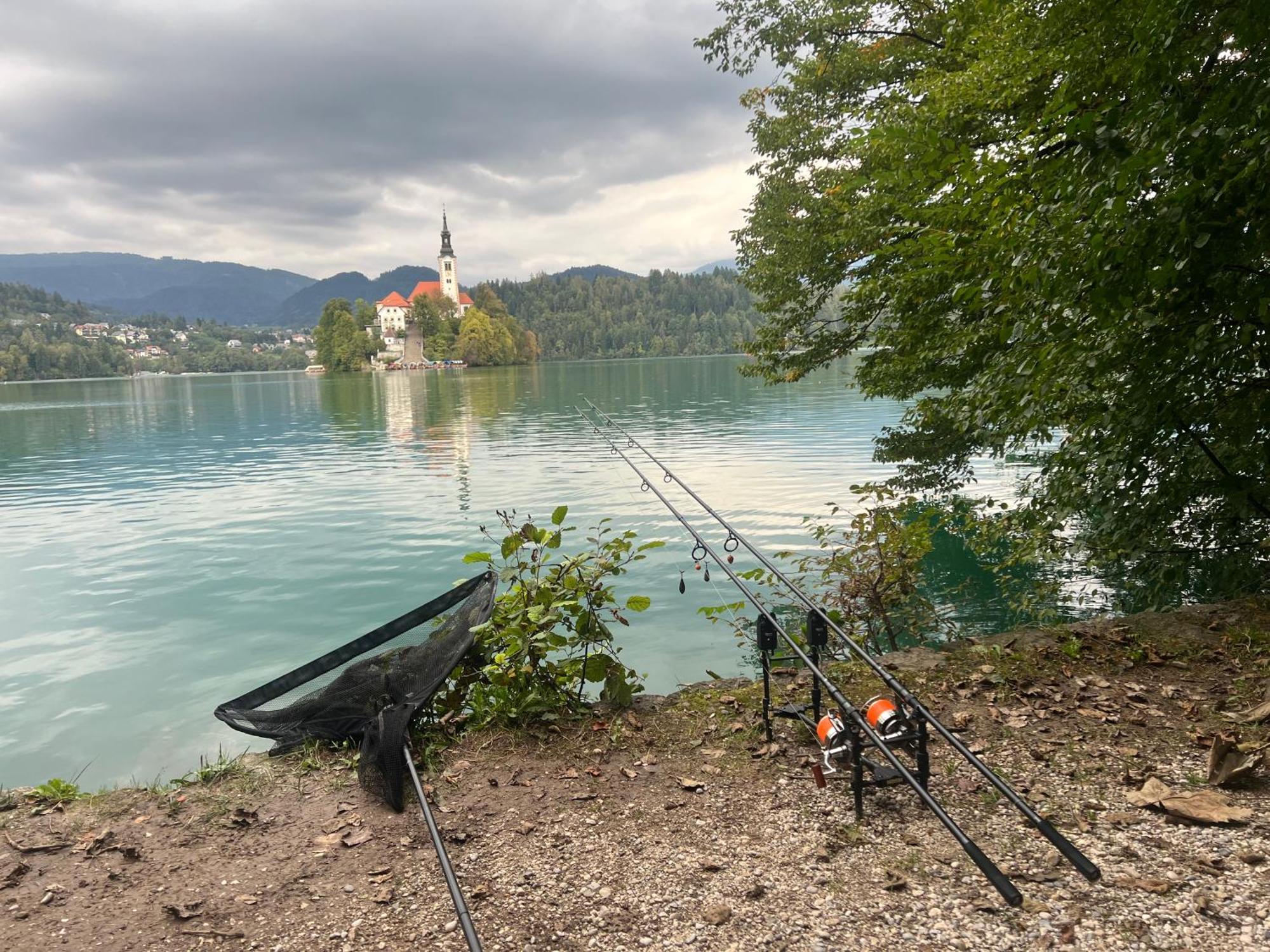 4 Elements Glamping & Apartments Bled Kültér fotó